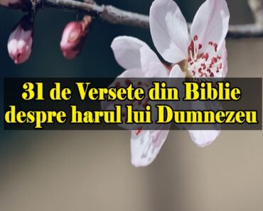 31 de Versete din Biblie despre harul lui Dumnezeu