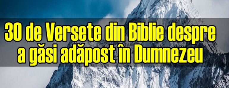 30 de Versete din Biblie despre a găsi adăpost în Dumnezeu<div class="yasr-vv-stars-title-container"><div class='yasr-stars-title yasr-rater-stars'
                          id='yasr-visitor-votes-readonly-rater-5a11640a8a537'
                          data-rating='5'
                          data-rater-starsize='16'
                          data-rater-postid='2589'
                          data-rater-readonly='true'
                          data-readonly-attribute='true'
                      ></div><span class='yasr-stars-title-average'>5 (3)</span></div>
