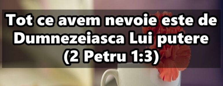 Tot ce avem nevoie este de Dumnezeiasca Lui putere (2 Petru 1:3)<div class="yasr-vv-stars-title-container"><div class='yasr-stars-title yasr-rater-stars'
                          id='yasr-visitor-votes-readonly-rater-c36a813cf8115'
                          data-rating='0'
                          data-rater-starsize='16'
                          data-rater-postid='3070'
                          data-rater-readonly='true'
                          data-readonly-attribute='true'
                      ></div><span class='yasr-stars-title-average'>0 (0)</span></div>