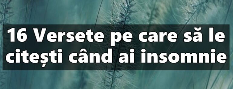 16 Versete pe care să le citești când ai insomnie<div class="yasr-vv-stars-title-container"><div class='yasr-stars-title yasr-rater-stars'
                          id='yasr-visitor-votes-readonly-rater-108565ae46e05'
                          data-rating='0'
                          data-rater-starsize='16'
                          data-rater-postid='3315'
                          data-rater-readonly='true'
                          data-readonly-attribute='true'
                      ></div><span class='yasr-stars-title-average'>0 (0)</span></div>
