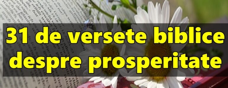 31 de versete biblice despre prosperitate<div class="yasr-vv-stars-title-container"><div class='yasr-stars-title yasr-rater-stars'
                          id='yasr-visitor-votes-readonly-rater-6e095f5a75a1c'
                          data-rating='3'
                          data-rater-starsize='16'
                          data-rater-postid='3598'
                          data-rater-readonly='true'
                          data-readonly-attribute='true'
                      ></div><span class='yasr-stars-title-average'>3 (3)</span></div>