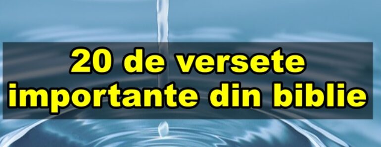 20 de versete importante din biblie<div class="yasr-vv-stars-title-container"><div class='yasr-stars-title yasr-rater-stars'
                          id='yasr-visitor-votes-readonly-rater-f1a6c16776fcc'
                          data-rating='5'
                          data-rater-starsize='16'
                          data-rater-postid='4597'
                          data-rater-readonly='true'
                          data-readonly-attribute='true'
                      ></div><span class='yasr-stars-title-average'>5 (1)</span></div>