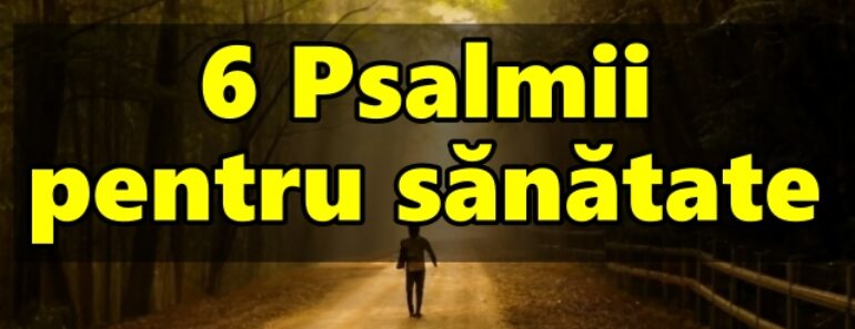 6 Psalmii pentru sănătate<div class="yasr-vv-stars-title-container"><div class='yasr-stars-title yasr-rater-stars'
                          id='yasr-visitor-votes-readonly-rater-84ff8867a661b'
                          data-rating='5'
                          data-rater-starsize='16'
                          data-rater-postid='5063'
                          data-rater-readonly='true'
                          data-readonly-attribute='true'
                      ></div><span class='yasr-stars-title-average'>5 (2)</span></div>