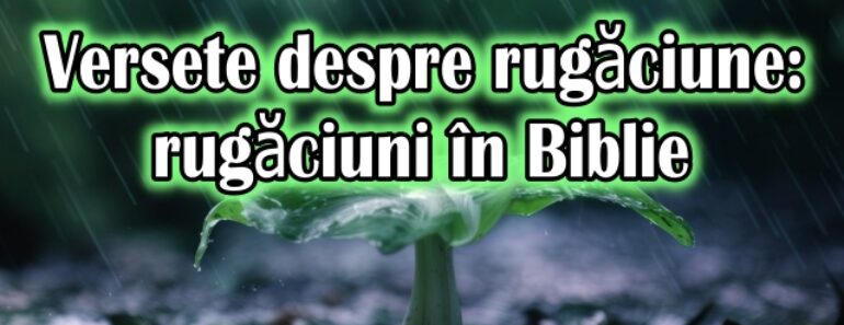 Versete despre rugăciune: rugăciuni în Biblie<div class="yasr-vv-stars-title-container"><div class='yasr-stars-title yasr-rater-stars'
                          id='yasr-visitor-votes-readonly-rater-200ff6c1af6f5'
                          data-rating='5'
                          data-rater-starsize='16'
                          data-rater-postid='5705'
                          data-rater-readonly='true'
                          data-readonly-attribute='true'
                      ></div><span class='yasr-stars-title-average'>5 (1)</span></div>