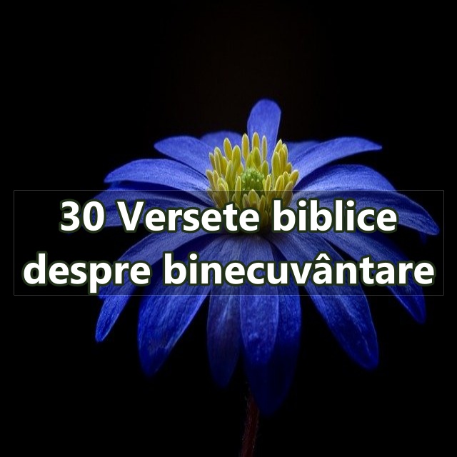 international Deviation Petitioner 30 Versete biblice despre binecuvântare - Calea Ingusta