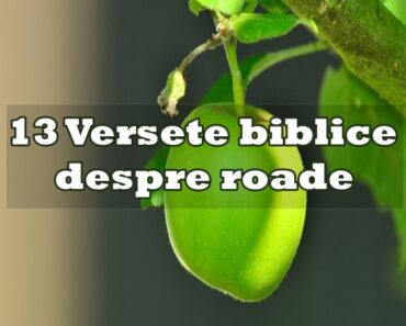13 Versete biblice despre roade