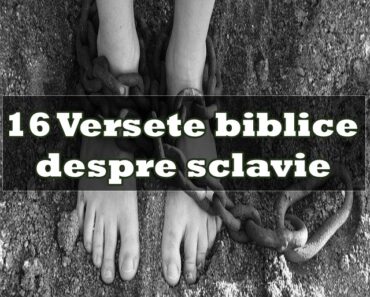 16 Versete biblice despre sclavie