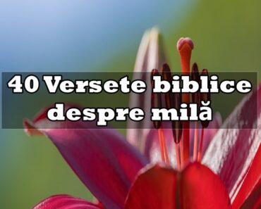 40 Versete biblice despre milă