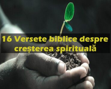 16 Versete biblice despre creșterea spirituală
