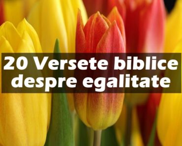 20 Versete biblice despre egalitate