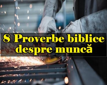 8 Proverbe biblice despre muncă