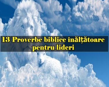 13 Proverbe biblice înălțătoare pentru lideri