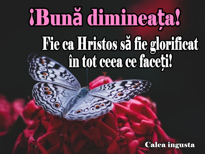 monthly today Entanglement Fraze și mesaje biblice de Bună dimineața - Calea Ingusta