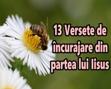 13 Versete de încurajare din partea lui Iisus