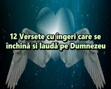12 Versete cu îngeri care se închină si laudă pe Dumnezeu