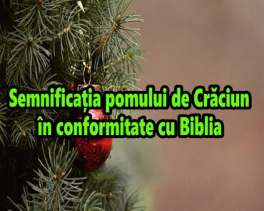 Semnificația pomului de Crăciun în conformitate cu Biblia
