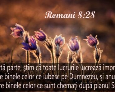 <strong>¿Ce se înțelege prin Romani 8:28?</strong>