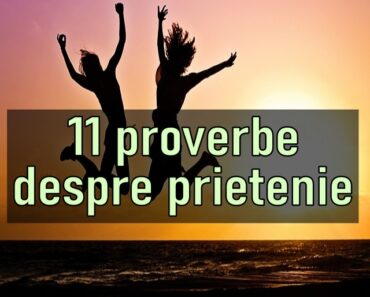 11 proverbe despre prietenie