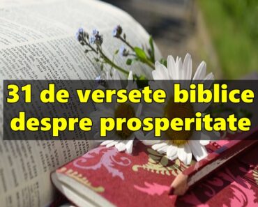 31 de versete biblice despre prosperitate