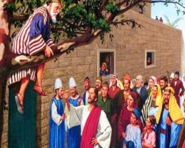Povestea lui Zacheu din Biblie și întâlnirea sa cu Domnul Isus
