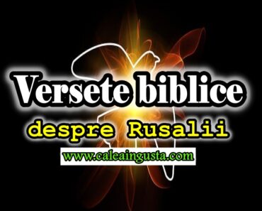 Versete biblice despre Rusalii<div class="yasr-vv-stars-title-container"><div class='yasr-stars-title yasr-rater-stars'
                          id='yasr-visitor-votes-readonly-rater-bce9f4326f677'
                          data-rating='5'
                          data-rater-starsize='16'
                          data-rater-postid='6178'
                          data-rater-readonly='true'
                          data-readonly-attribute='true'
                      ></div><span class='yasr-stars-title-average'>5 (1)</span></div>