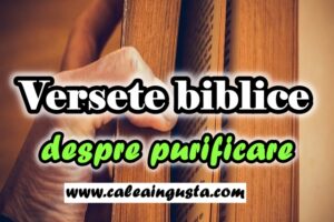 Versete biblice despre purificare