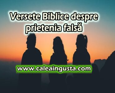 Versete Biblice despre prietenia falsă<div class="yasr-vv-stars-title-container"><div class='yasr-stars-title yasr-rater-stars'
id='yasr-visitor-votes-readonly-rater-a20ea0436394b'
data-rating='5'
data-rater-starsize='16'
data-rater-postid='6842'
data-rater-readonly='true'
data-readonly-attribute='true'
></div><span class='yasr-stars-title-average'>5 (1)</span></div> Versete Biblice despre prietenia falsă<div class="yasr-vv-stars-title-container"><div class='yasr-stars-title yasr-rater-stars'
id='yasr-visitor-votes-readonly-rater-0894ae36a340b'
data-rating='5'
data-rater-starsize='16'
data-rater-postid='6842'
data-rater-readonly='true'
data-readonly-attribute='true'
></div><span class='yasr-stars-title-average'>5 (1)</span></div>
